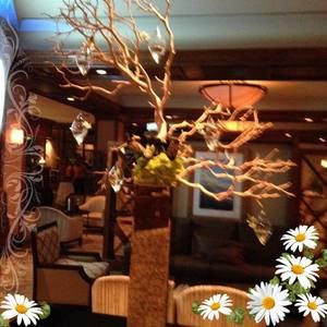 Meet your Posher, Maribel